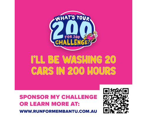 Wash 20 Cars